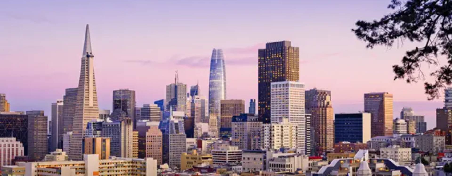 Otros públicos y servicios